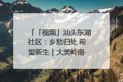 「视频」汕头东湖社区：乡愁归处 希望新生｜大美岭南·百村焕新记